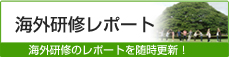 海外研修レポート